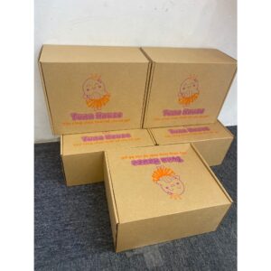 Hộp giấy carton đựng váy nắp cài TUNA HOUSE FOR PRINCESS kích thước 32cm x 24cm x 15cm