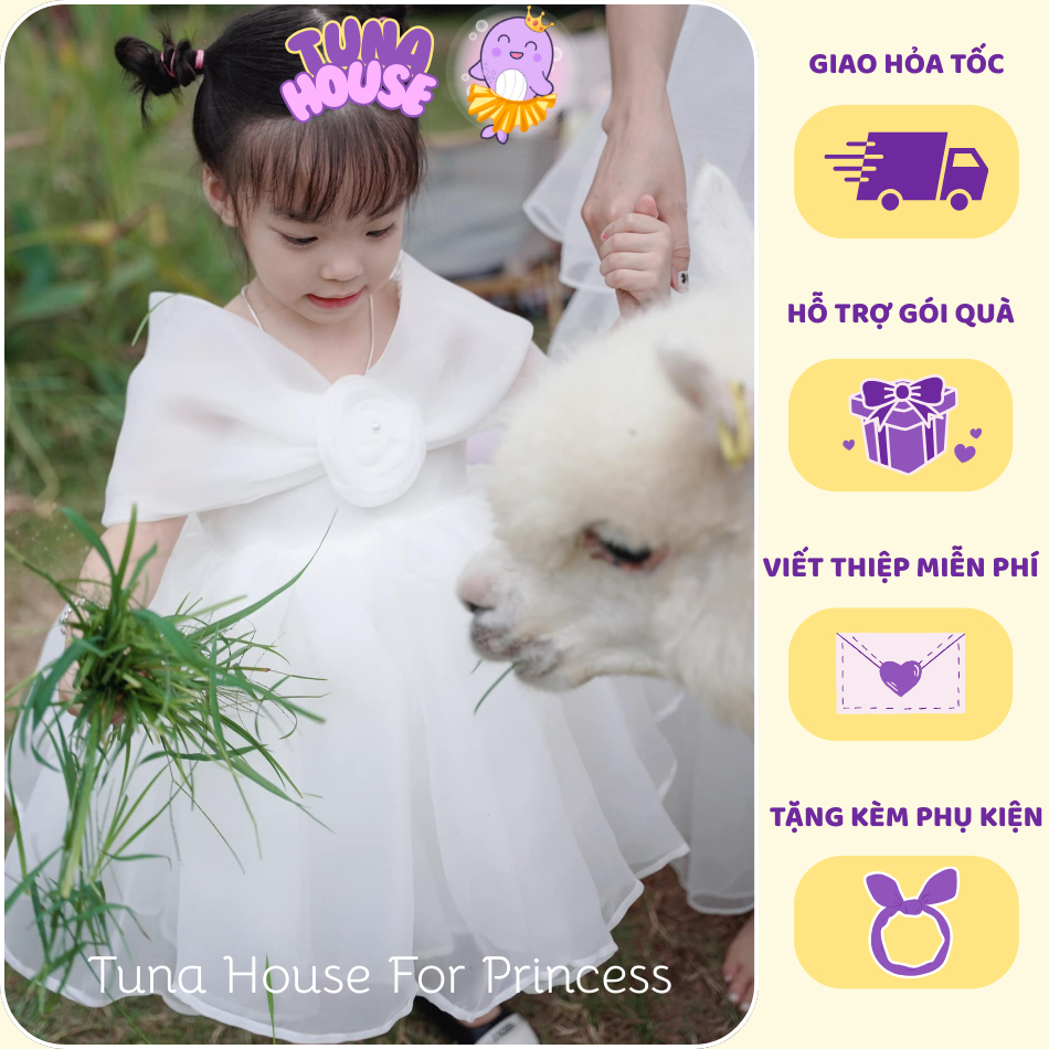 images-upload-woo2Fb14ed89ff4f970847f5d82f847cf9350.jpg
